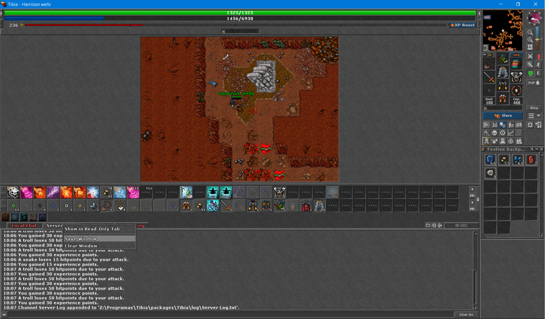 Print do jogo online Tibia.