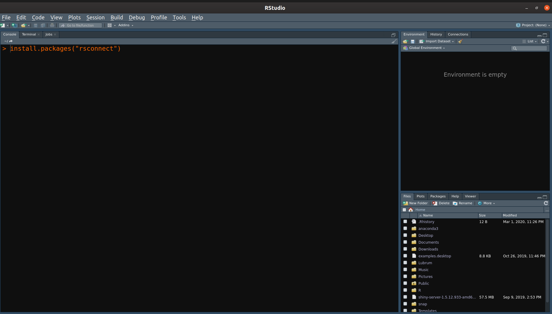 Print do RStudio com a instalação do pacote rsconnect.
